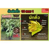 ราคา ต้นผักติ้ว ผักติ้วแต้ว ติ้วเลือด กวยโชง น้ำพริก สมุนไพรไทย ผักพื้นบ้านหายาก ดิน ปุ๋ย กระถาง สะเดา แค ต้นไม้ ผักสวนครัว (51856724482)