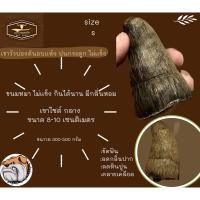 ราคา เขาวัวอบเเห้ง ขนมหมา ของเล่นสุนัข size S (23073852964)