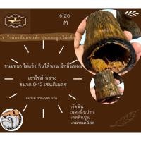 ราคา เขาวัวอบเเห้ง ขนมหมา ของเล่นสุนัข size M (23373598566)