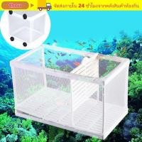ราคา THOU Aquarium Incubator Breeder Guppy Rearing Double Hatchery (51610143658)