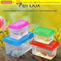 ราคา GRANDZY ถังปลาทอง Transparen Cage Bows ถังเต่าตู้ปลา (54409536922)