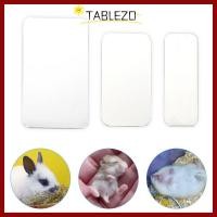 ราคา จัดส่งจากประเทศไทยกระดานทําความเย็นหนูแฮมสเตอร์ TABLEZO กระดานทําความเย็นสัตว์เลี้ยงเย็นสีเงิน อุปกรณ์กระต่ายหนูแฮมสเตอร์ แผ่นน้ําแข็งสัตว์เลี้ยงอลูมิเนีย (52809547225)