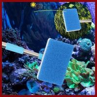 ราคา COD แปรงทําความสะอาดฟองน้ําถัง BLOOMZO Window Algae 180 เครื่องทําความสะอาดปลาตู้ปลาแบบปรับได้ เครื่องมือทําความสะอาดผนังด้านในสองด้าน แปรงทําความสะอาดตู้ปลาด้ามยาวพิเศษ (40630320377)