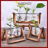 ราคา in stockBLOOMZO แจกันแก้ว Vintage Terrarium แบบตั้งโต๊ะ Planter กระถางดอกไม้ (50008987769)
