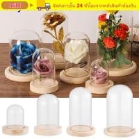ราคา MILD ฝาครอบกันฝุ่นไฟนางฟ้า Terrarium โต๊ะ Terrarium แจกันแก้ว Jar ฐานไม้ (45058626165)