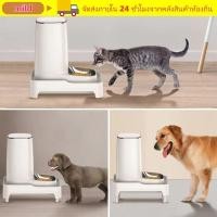 ราคา MILD Pet Feeders Holder อุปกรณ์ป้องกันคอ BPA Free Feeder Bowl Holder ทนทานปรับความสูงลิ้นชักเก็บ Feeder วงเล็บยกระดับอุปกรณ์สัตว์เลี้ยง (53458343352)