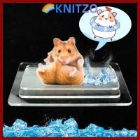 ราคา จัดส่งจากประเทศไทย แผ่นทําความเย็นหนูแฮมสเตอร์ KNITZO อุปกรณ์กระต่ายหนูแฮมสเตอร์อลูมิเนียม พลาสติก แผ่นทําความเย็นสัตว์เลี้ยง แผ่นน้ําแข็งสัตว์เลี้ยงเย็นสีเงิน (48659566978)