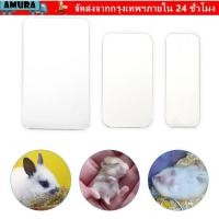 ราคา แผ่นทําความเย็นสําหรับสัตว์เลี้ยง ในการนอนหลับ อุปกรณ์กระต่ายหนูแฮมสเตอร์เย็น แผ่นทําความเย็นหนูแฮมสเตอร์ แผ่นน้ําแข็งสําหรับสัตว์เลี้ยงเงินพลาส (57660157697)
