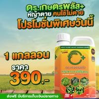 ราคา ยากำจัดวัชพืช ชนิดเผาไหม้ ดูดซึม กำจัดวัชพืชได้ทั้งใบแคบ และใบกว้าง หญ้าตายเร็ว ยากำจัดวัชพืชได้ทุกชนิด ปราบวัชพืชได้ทุก (26466969286)