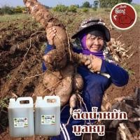 ราคา น้ำหมักขี้หมูสูตรเข้มข้น Em x4 100 ขนาด 5 ลิตร ของเเท้จากโรงงานผลิต (29257092637)