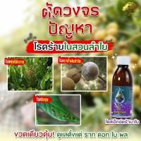 ราคา 2 แถม 1 Dose โดสเอ็กซ์ตร้า นาโน ทดแทนปุ๋ย 80 เร่งการเจริญเติบโต X2 (57456250956)