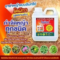 ราคา ยากำจัดวัชพืช โดมิกา ชนิดเผาไหม้ ดูดซึม กำจัดวัชพืชได้ทั้งใบแคบ และใบกว้าง หญ้าตายเร็ว ยากำจัดวัชพืชได้ทุกชนิด ปราบวัช (27442600293)