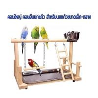 ราคา คอนใหญ่ คอนยืนนกแก้ว สำหรับนกแก้วขนาดเล็ก กลาง (43278572530)