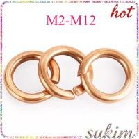 ราคา แหวนสปริง แหวนรอง กันคลาย Spring Washer Steel ทองเหลือง M2 M2 5 M3 M4 M5 M6 M8 M10 M12 SUKIM 1 (48506187434)