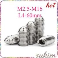 ราคา สกรู ตัวหนอน ปลายลูกปืน บอลสปริง หัวกดสปริง เกลียวมิล สแตนเลส304 M2 5M3M4M5M6M8M10M12M14M16 SUKIM 1 (46006499144)