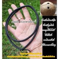 ราคา กะลาตาเดียว วัตถุมงคลจากธรรมชาติ เม็ดกะลาตาเดียว อะไหล่สร้อยกะลาตาเดียวแท้ ขนาดความยาว 26 นิ้ว (46558121215)