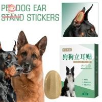 ราคา สติกเกอร์ยืนขึ้นหู PWSSEND กาว Corgi ฟรีสําหรับการแก้ไขหู สติ๊กเกอร์ช่วยเหลือสมุนไพรอาร์คโดเบอร์แมนที่มีประสิทธิภาพ (55759866541)