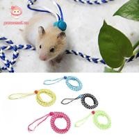 ราคา PWSSEND สายจูงกรงสัตว์เลี้ยง ไนลอน 1 4 ม สายจูงหนูแฮมสเตอร์สัตว์เลี้ยง สายจูงปลอกคอกระต่ายแบบปรับได้หนูหนูแฮมสเตอร์ (56459711286)