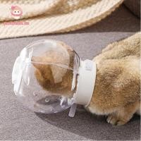 ราคา PWSSEND Pet Cat Grooming Hood Anti Licking Transparent Cat Muzzle Pet Supplies Breathable Cat Helmets Pet (55558655881)