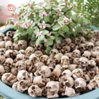 ราคา PWSSEND 20 ชิ้นหัวโครงกระดูกขนาดเล็ก เรซิ่นที่สมจริง Mini Skulls Creative กระถางดอกไม้ตกแต่งตกแต่ง Props ภูมิทัศน์ Skull Rocks ฮาโลวีน (54158917400)