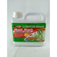 ราคา LOBSTER Shield mold washน้ำยากำจัดและยับยั้งการเจริญเติบโตของเชื้อราตะไคร่น้ำ 1ลิตร L715 8851193216738 (10369785635)