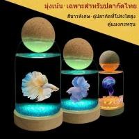 ราคา ที ประเทศไทย ปลากัด ตู้ปลาแมงกะพรุนถังสก์ท็อปนิเวศวิทยาตู้ปลาขนาดเล็ก (55156806237)