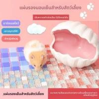 ราคา อุปกรณ์ทําความเย็นหนูแฮมสเตอร์ แผ่นทําความเย็นฤดูร้อน แผ่นน้ําแข็งคริสตัล เสื่อกระต่าย เตียงน้ําแข็งหมีสีทอง (51557558308)