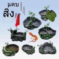 ราคา ตู้ปลาอ่างให้อาหารปลอดเชื้อเครื่องให้อาหารปลาสัตว์เลื้อยคลานจิ้งจกตุ๊กแกเต่าถาดให้อาหารสดชามน้ําให้อาหาร (51157076699)