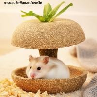 ราคา หนูแฮมสเตอร์แกนแอปเปิ้ลกรามด้ายสีทองหมีหนูตะเภาขนมขบเคี้ยวกรามอาหารของเล่น (50507168567)