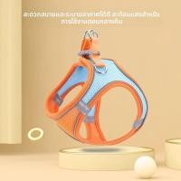 ราคา เสื้อกั๊กสุนัขขนาดเล็กประเภทสายรัดหน้าอกสายจูงสุนัขเท็ดดี้บิชอนใบหูลูกสุนัขสุนัขเดินจูงสุนัขโซ่ (45357358128)