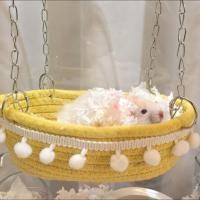 ราคา กระรอกหนูแฮมสเตอร์ผ้าไหมสีทองหมีน้ําผึ้งเครื่องร่อนกระรอกเปลญวนแขวนรังเล่นทอกระท่อมที่มีสีสัน (41729290602)