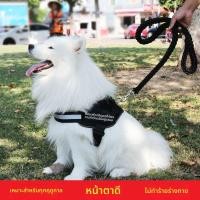 ราคา สายจูงสุนัข สายจูงสุนัข เชือกจูงสุนัข สายรัดหน้าอก กลับ ขนาดใหญ่ ซามอยด์ สุนัขขนาดกลาง โกลเด้น รีทรีฟเวอร์ สายจูงสุนัข โซ่สุ (56407349677)