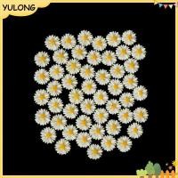 ราคา YU 50 ชิ้นเดซี่สีขาวเรซิ่น flatba cabochon DIY เครื่องประดับตกแต่ง ของ NG (49509943216)