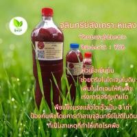 ราคา หัวเชื้อจุลินทรีย์ จุลินทรีย์สังเคราะห์แสง PSB (6333878054)