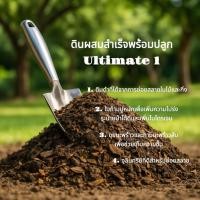 ราคา ดินหมักใบก้ามปูพร้อมปลูกสูตรพิเศษ เหมาะสำหรับ พืชสวนครัว ไม้ดอก ไม้ผล (6233376002)