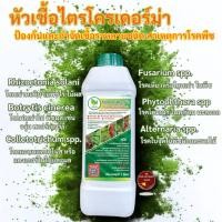 ราคา หัวเชื้อ เชื้อไตรโคเดอร์ม่า Trichoderma ชนิดน้ำกำจัดโรครากเน่า โคนเน่า แคงเกอร์ ใบจุด ราสนิม (7435708641)