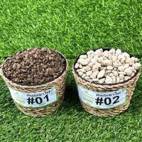ราคา หินภูเขาไฟ ขนาด 1 Kg วัสดุปลูก หินโรยหน้ากระถาง สำหรับปลูกต้นไม้ (16901469783)