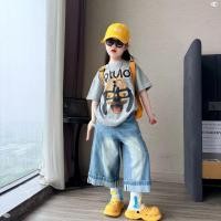 ราคา เสื้อผ้าเด็กผู้หญิงเสื้อยืดหลวมการ์ตูน กางเกงขาสั้นผ้ายีนส์แฟชั่นชุดสองชิ้น 5 14 ปี (43880885891)