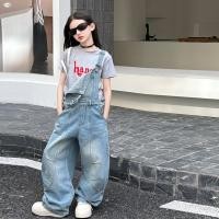 ราคา ชุดเอี๊ยมยีนส์และเสื้อยืดสั้นแฟชั่นสำหรับเด็กผู้หญิง อายุ 5 13 ปี (44079185591)