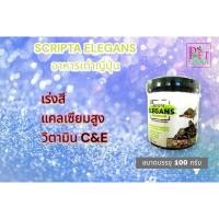 ราคา S5 SCRIPTA ELEGANS อาหารเต่าญี่ปุ่น ขนาดบรรจุ 100 กรัม (19187002501)