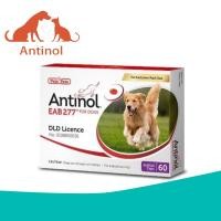 ราคา Antinol Dog แพ็คเกจใหม่ Exp 08 2027 ของแท้ อาหารเสริม บำรุงข้อ ลดอักเสบ ข้ออักเสบ สุนัข แมว (57558746363)