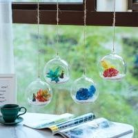 ราคา AIQIN77 ที่วางทีไลท์แบบแขวน แจกันแก้วแขวนแก้ว Borosilicate โปร่งใส ขวดปลูก 6 8 10 12 15 ซม ลูกบอลใส Succulents Plant Ball คอนเทนเนอร์เชิงเทียน (56208975904)