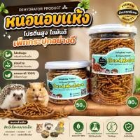 ราคา หนอนนกอบแห้งสำหรับสัตว์เลี้ยง โปรตีนสูง สะอาด ปลอดภัย สำหรับแฮมสเตอร์ นก เม่น และสัตว์เลี้ยงขนาดเล็ก (57058123802)
