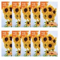 ราคา เมล็ดทานตะวันแคระ50เมล็ด ถุง Sunflower Seed (48958093605)