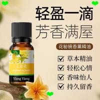ราคา น้ํามันหอมระเหยที่ละลายน้ําได้มัลติฟังก์ชั่น 10 มล เครื่องทําความชื้นยิปซั่มเฉพาะน้ําหอมกลั่นที่ละลายน้ําได้ (53907625076)