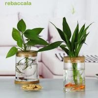ราคา REPBACCA พืชไฮโดรโปนิกส์กระถางดอกไม้ แก้วรอบโปร่งใสหม้อแก้ว ภาชนะพืชโปร่งใสมินิหนานิเวศวิทยาแจกันแก้วสวน (57809981677)