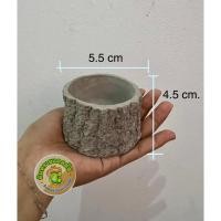ราคา กระถางปูนเปลือย ทรงตอไม้ (23724310056)