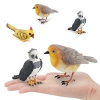 ราคา จําลองนกสัตว์รุ่นเด็กความรู้ความเข้าใจนกขมิ้นนกนกอเมริกันฮอร์นปูเครื่องประดับตกแต่ง (50260740581)