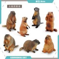 ราคา ร้อนขายสัตว์ป่ารุ่น Groundhog กระรอก Chipmunk สัตว์ทุ่งหญ้าป่า Static ตุ๊กตาเครื่องประดับ (45059401800)