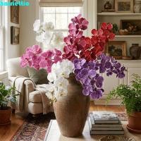 ราคา HARRIETTIO สาขา Phalaenopsis ให้ความชุ่มชื้น (41330761765)